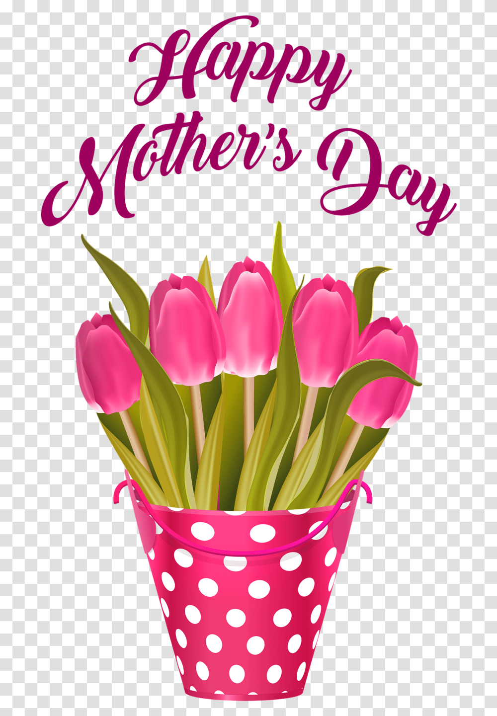 Feliz Dia De Las Madres, Plant, Flower, Blossom, Tulip Transparent Png