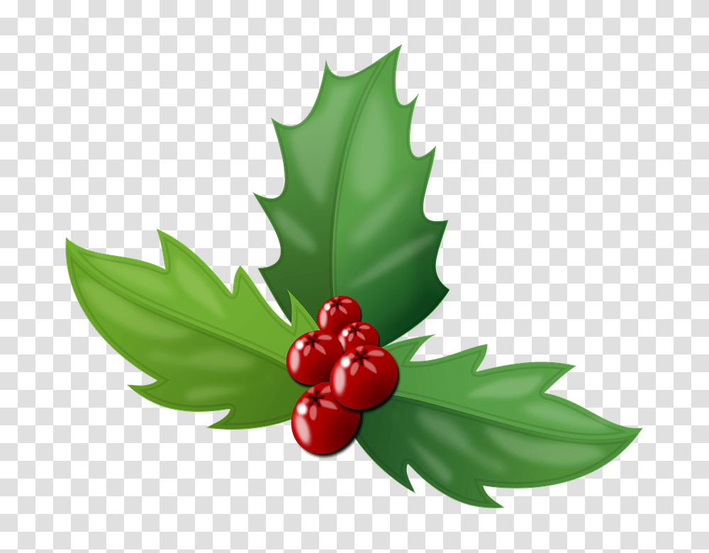 Feliz Navidad, Plant, Leaf, Fruit, Food Transparent Png