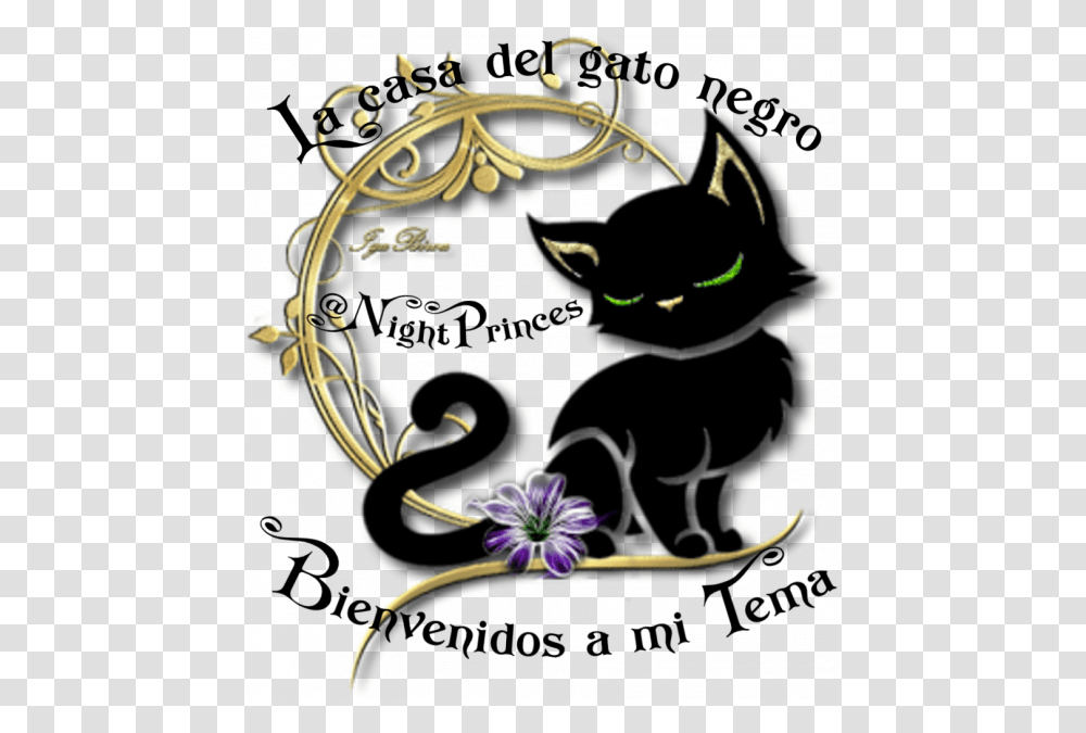 Feliz Sergio Skywalker2214 Dia Internacional De La Mujer Con Gato, Floral Design, Pattern Transparent Png