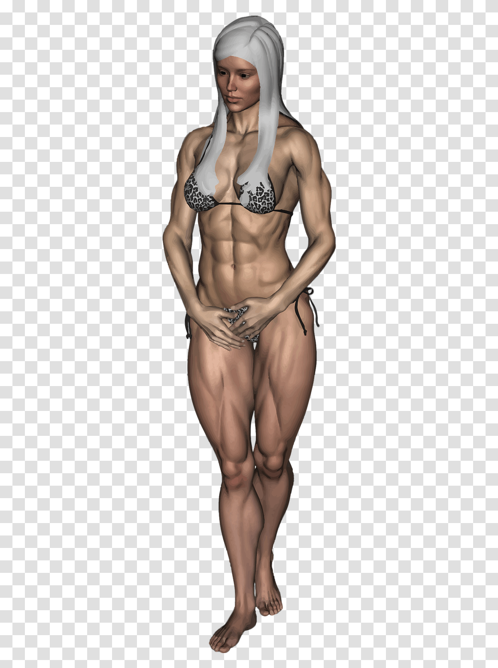 Female Bodybuilder, Torso, Person, Human, Arm Transparent Png