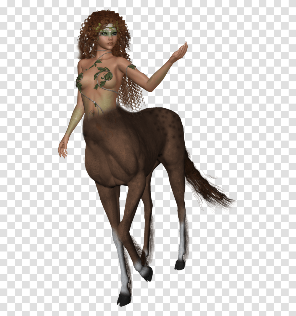 Female Centaur Images Centaur, Person, Human, Horse, Mammal Transparent Png