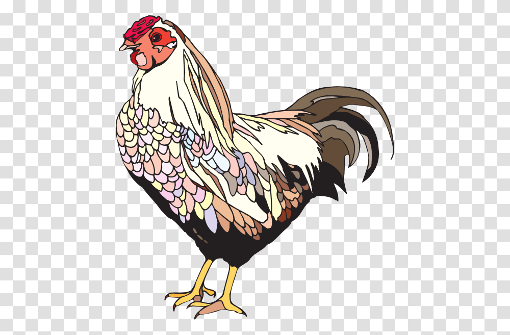 Female Chicken, Poultry, Fowl, Bird, Animal Transparent Png