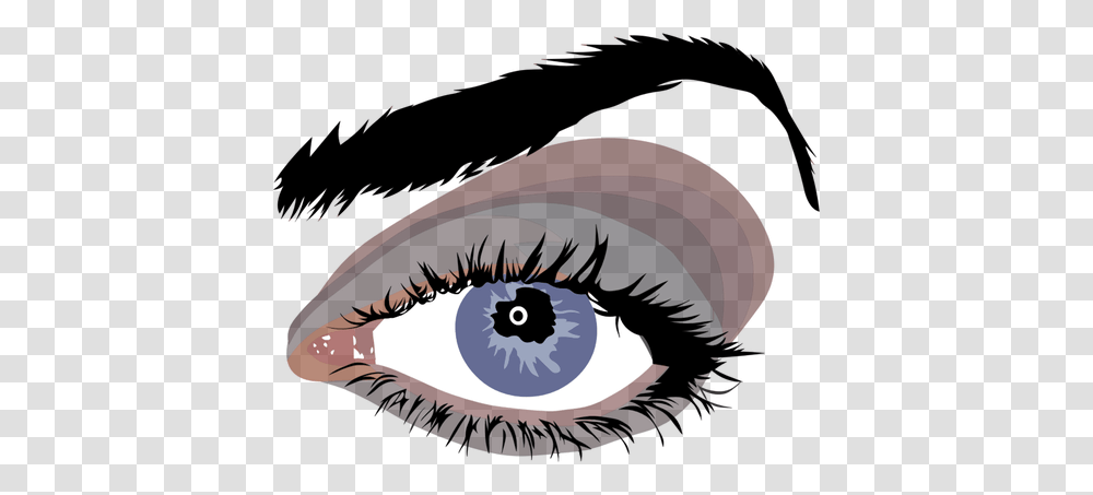 Female Eye, Nature, Outdoors, Animal, Invertebrate Transparent Png