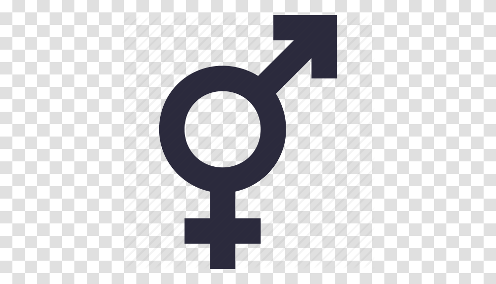 Female Gender Gender Symbol Genders Male Gender Sex Symbol Icon, Key, Cross, Tool Transparent Png