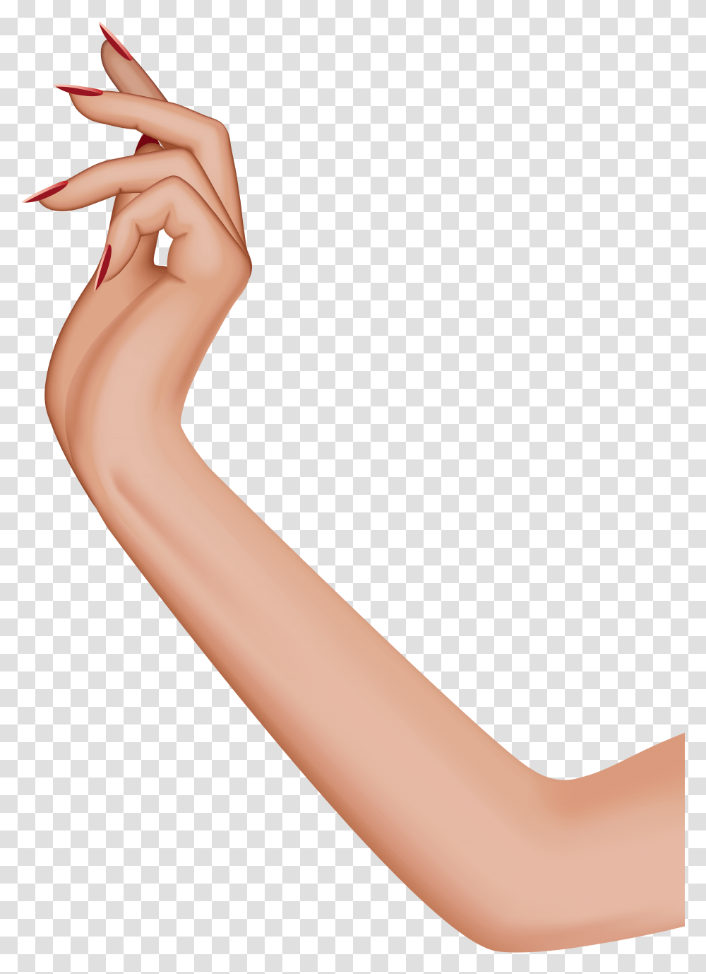 Female Hand, Arm, Finger Transparent Png