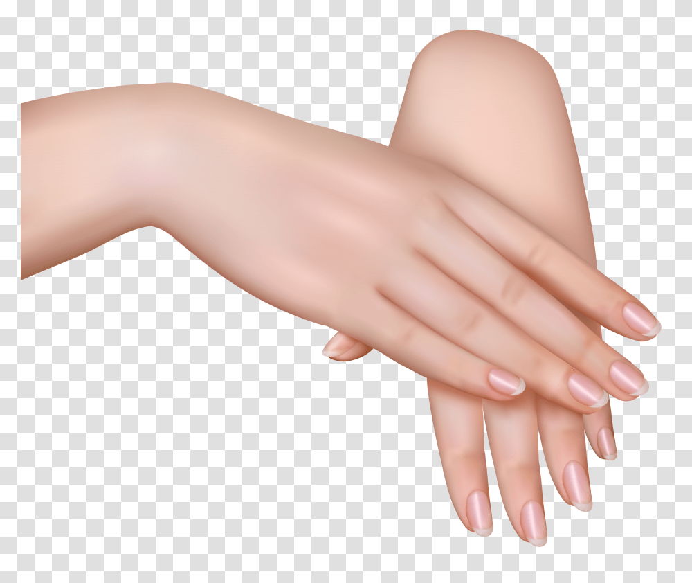 Female Hands Clipart Transparent Png