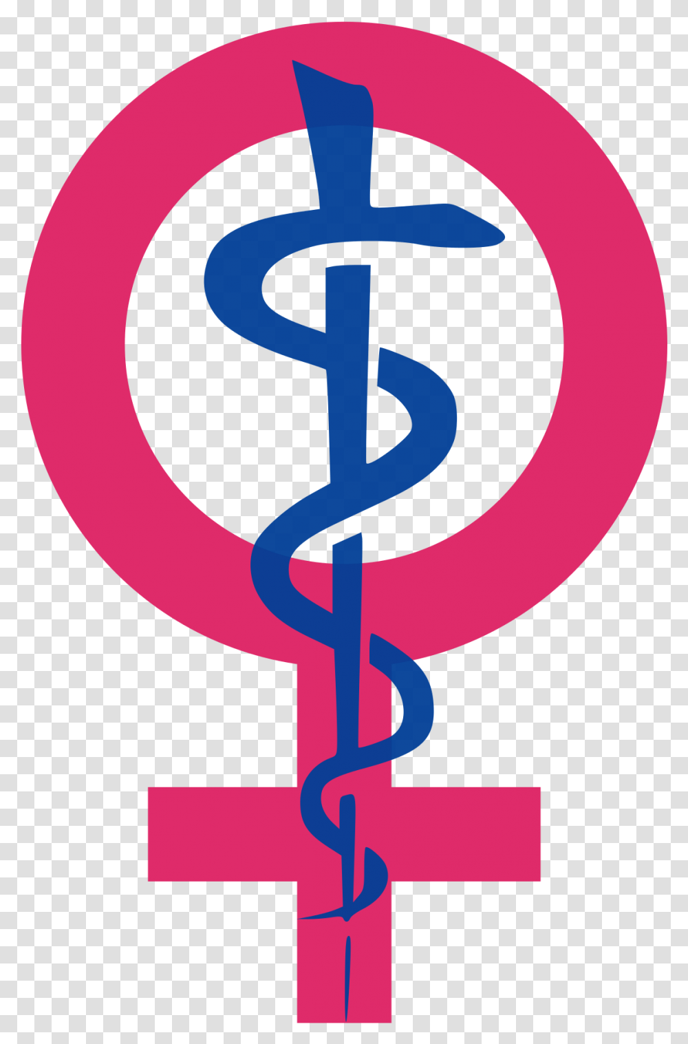 Female Health, Alphabet, Poster Transparent Png