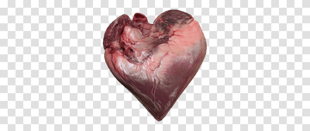 Female Human Picture Of Real Heart Full Size Real Images Of Human Heart, Animal, Gemstone, Jewelry, Accessories Transparent Png