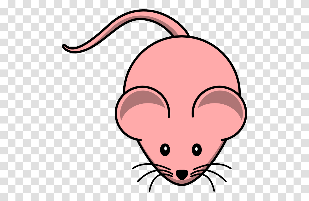 Female Mouse Svg Clip Arts Cartoon Mouse, Piggy Bank, Animal Transparent Png