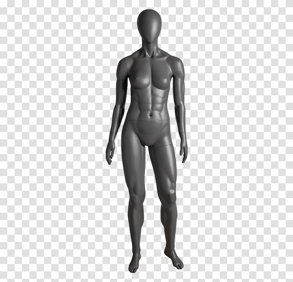 Female Pose2 Front, Torso, Person, Human, Mannequin Transparent Png