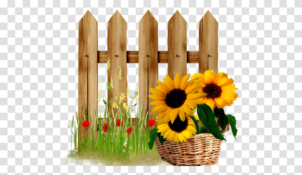Fence Clipart Sunflower Free Sunflower Fence Clipart, Picket, Gate, Plant, Blossom Transparent Png