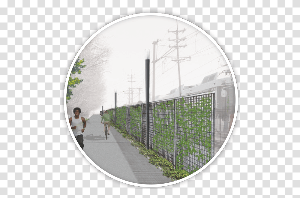 Fence, Person, Plant, Walkway Transparent Png