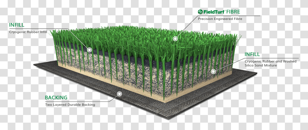 Fence, Vegetation, Plant, Brush, Tool Transparent Png