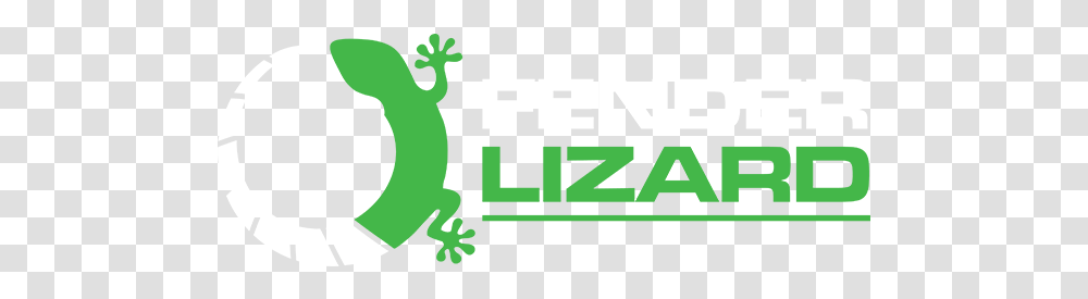 Fender Lizard Frog, Gecko, Reptile, Animal, Iguana Transparent Png