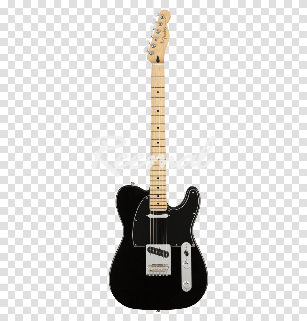 Fender Player Telecaster Black, Guitar, Leisure Activities, Musical Instrument, Electric Guitar Transparent Png