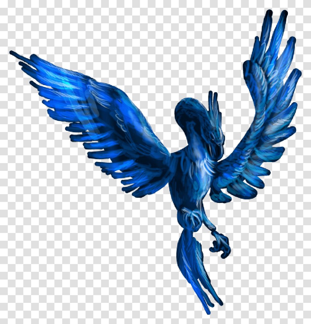 Fenix Blue Phoenix, Bird, Animal, Jay, Flying Transparent Png