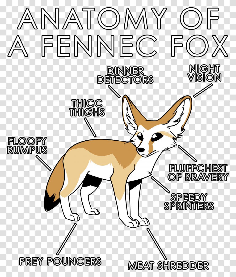 Fennec Fox, Red Fox, Canine, Wildlife, Mammal Transparent Png