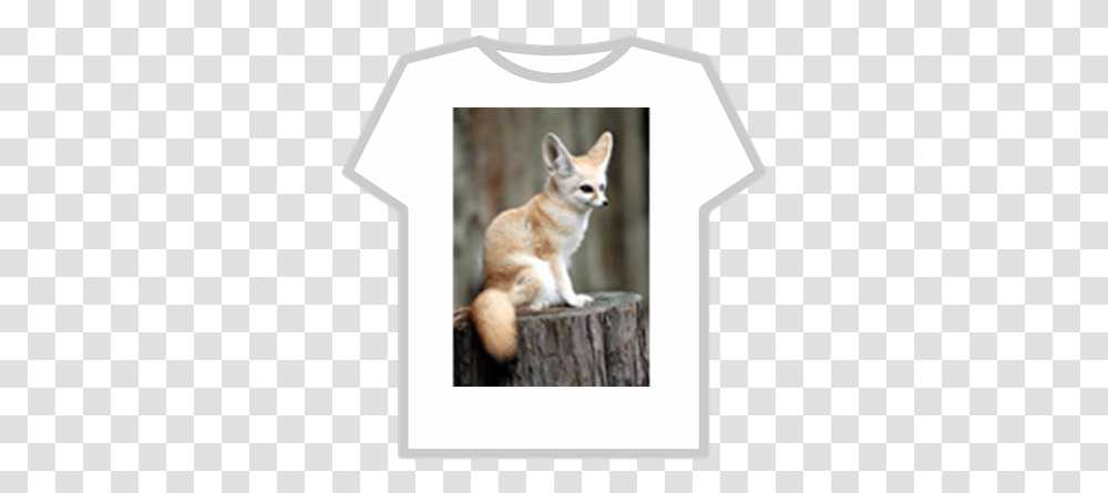 Fennec Fox Roblox Beautiful Fennec Fox, Cat, Pet, Mammal, Animal Transparent Png
