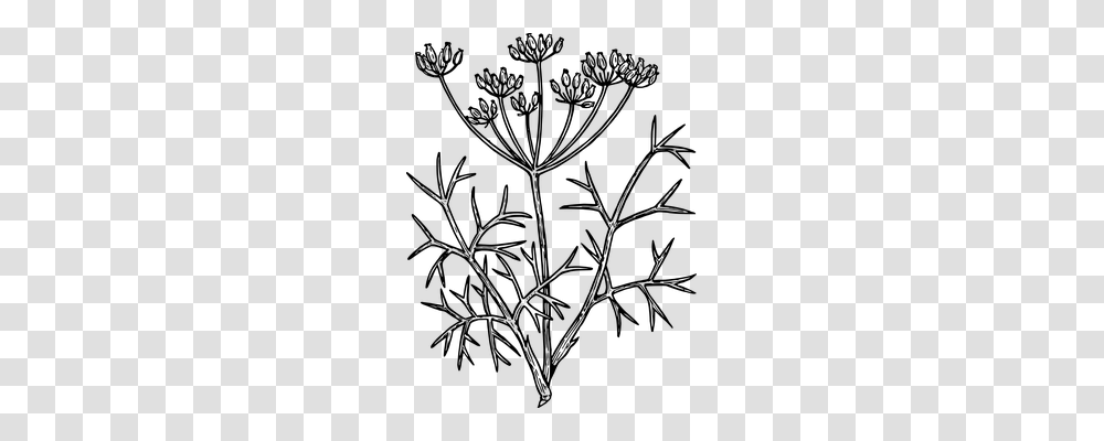 Fennel Technology, Gray, World Of Warcraft Transparent Png