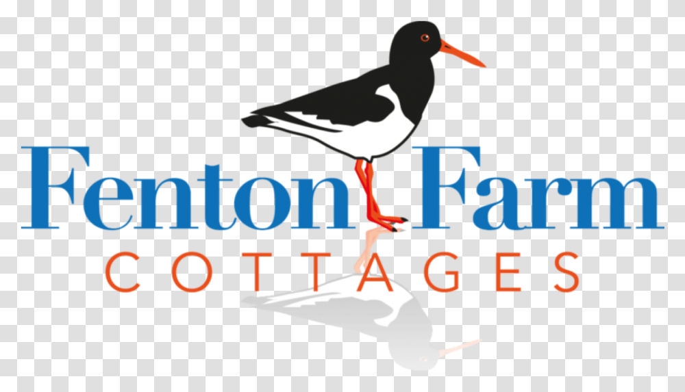 Fenton Farm Cottages Attempted Purchase Of Time Warner Cable By Comcast, Bird, Animal Transparent Png