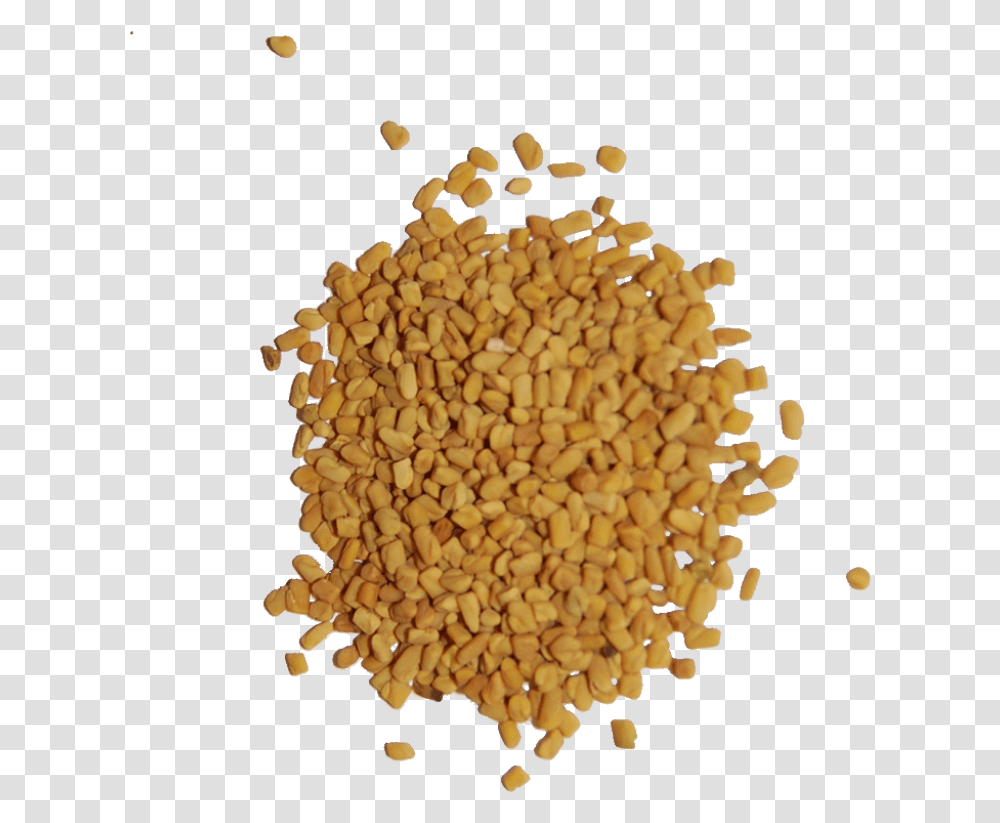 Fenugreek Seeds Download Fenugreek, Plant, Produce, Food, Vegetable Transparent Png