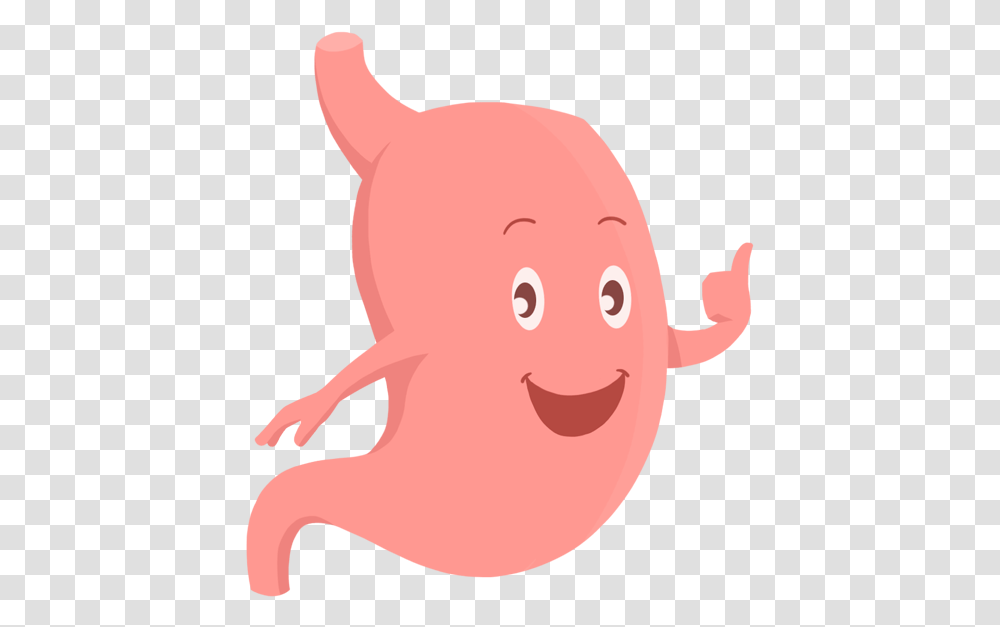Fenulife Healthy Happy Stomach, Animal, Mammal, Rodent Transparent Png