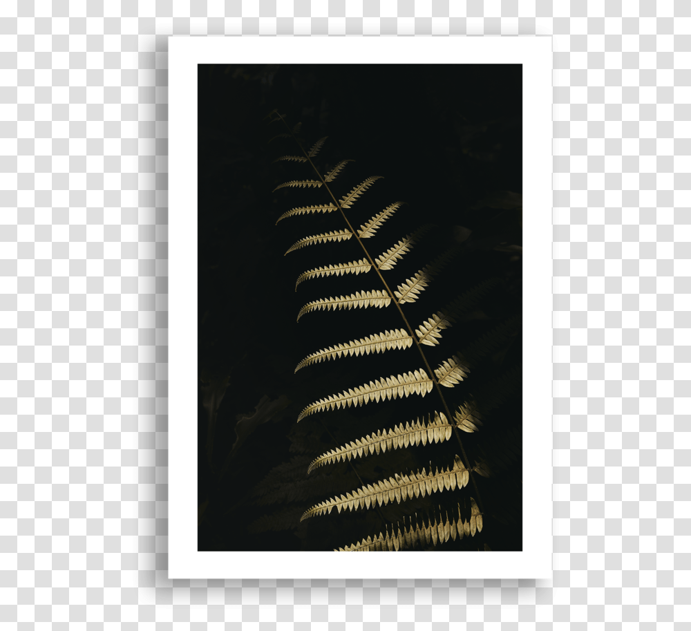 Fern 2 Nyungwe, Plant, Rug Transparent Png