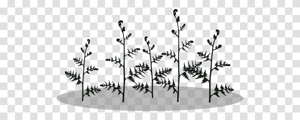 Fern Nature, Floral Design, Pattern Transparent Png