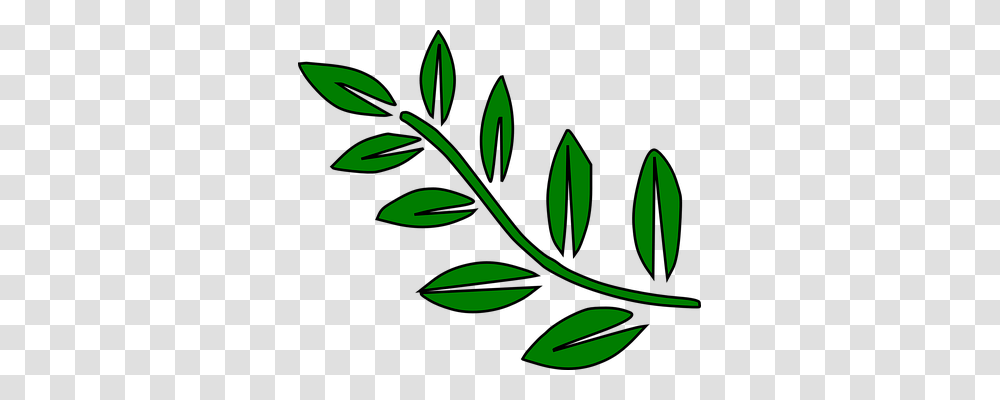 Fern Nature, Green, Leaf, Plant Transparent Png