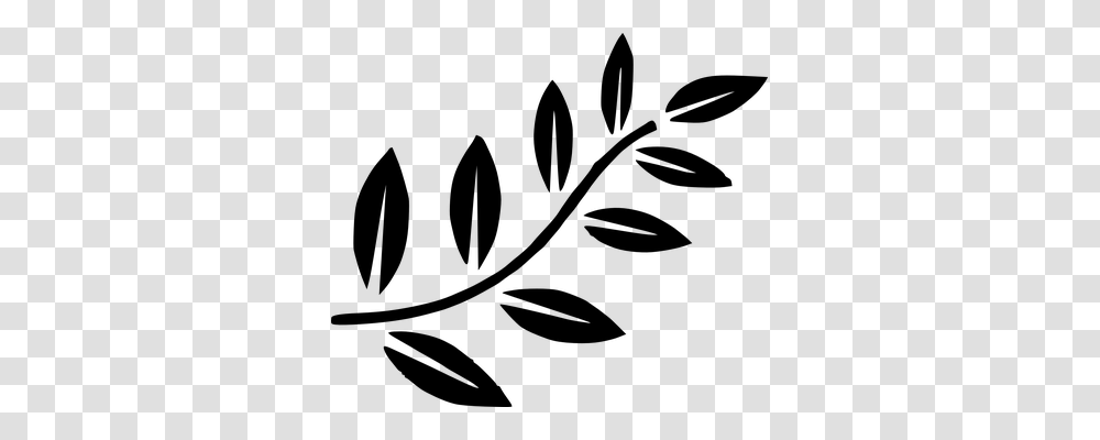 Fern Nature, Gray, World Of Warcraft Transparent Png