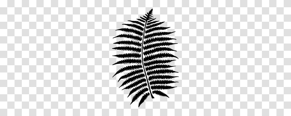 Fern Nature, Gray, World Of Warcraft Transparent Png