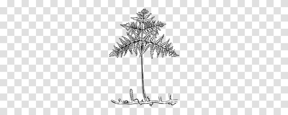 Fern Nature, Gray, World Of Warcraft Transparent Png