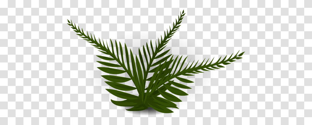 Fern Nature, Leaf, Plant, Bird Transparent Png