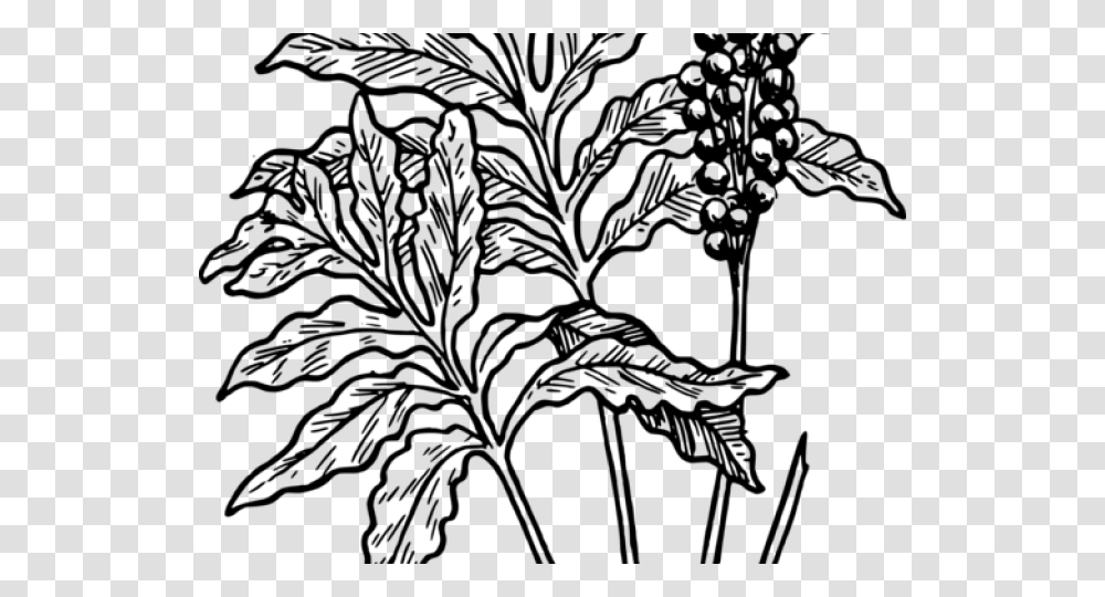 Fern Clip Art, Gray, World Of Warcraft Transparent Png