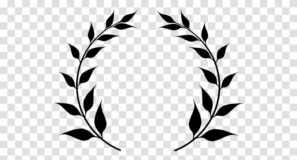 Fern Clipart Fern Leaves, Oval, Wreath Transparent Png