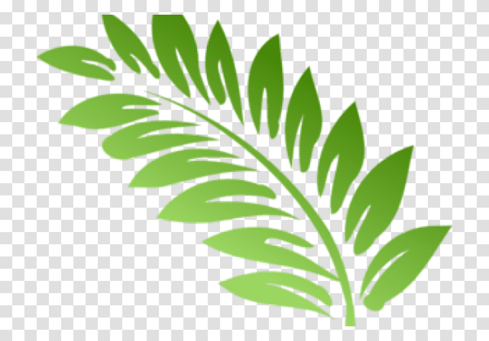 Fern Clipart Foliage Clip Art Fern Leaves, Leaf, Plant, Green Transparent Png