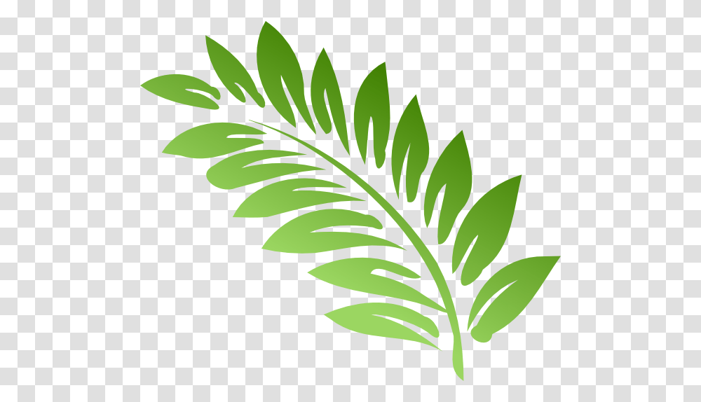 Fern Clipart, Green, Leaf, Plant Transparent Png