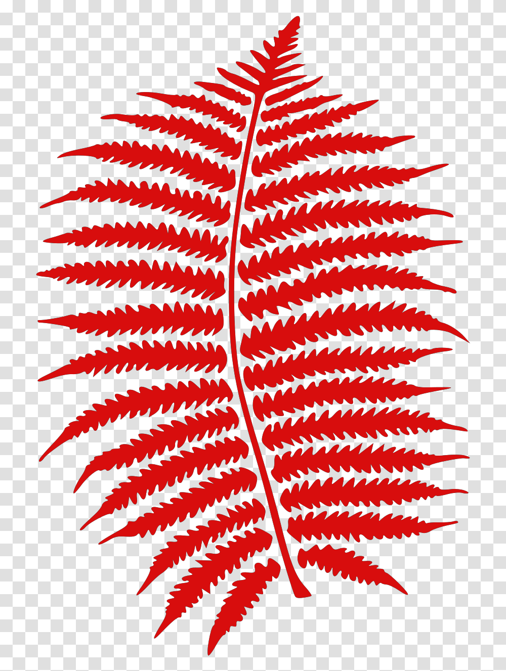 Fern Clipart, Plant, Poster, Advertisement Transparent Png