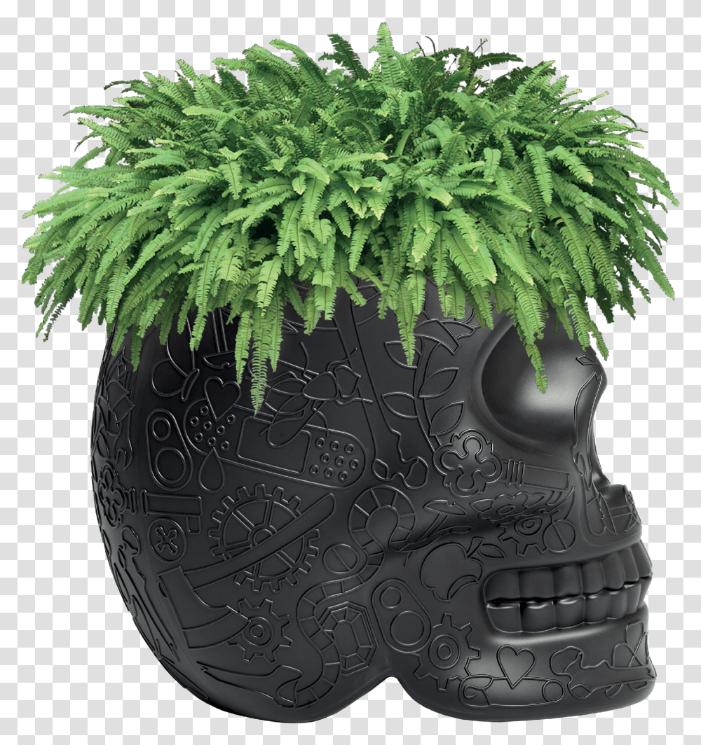 Fern Clipart Planter Tropical Plant, Sphere, Potted Plant, Vase, Jar Transparent Png