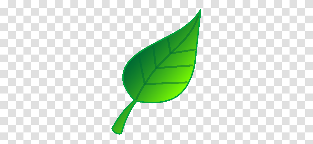 Fern Cliparts, Leaf, Plant, Green, Veins Transparent Png