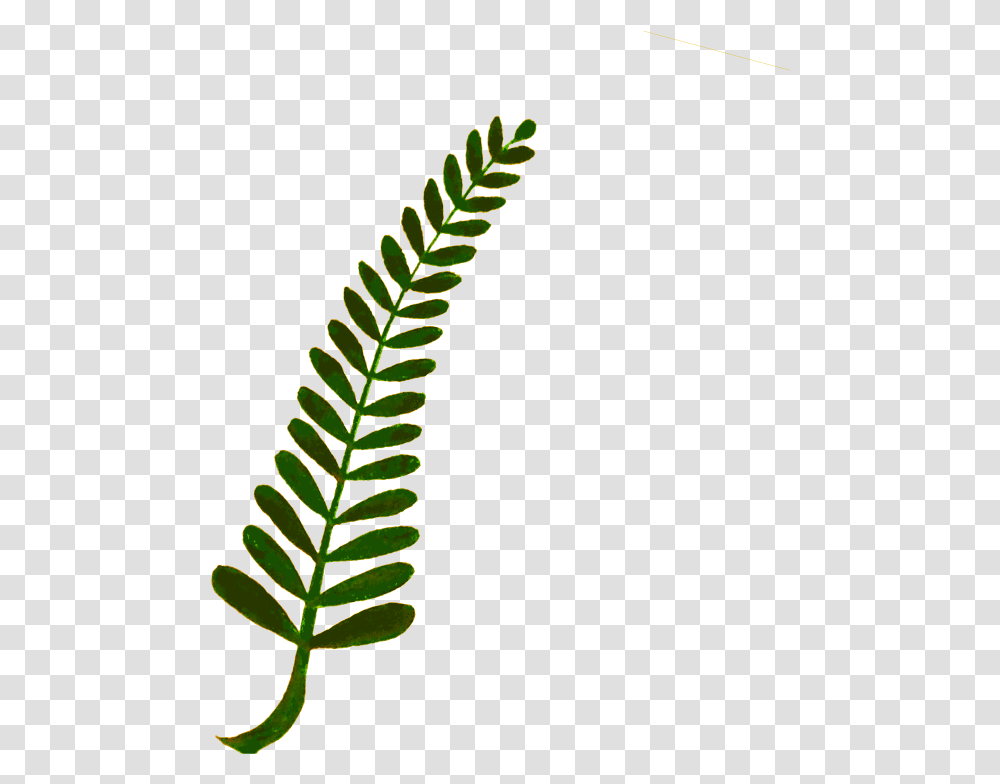 Fern Computer Icons Plant Stem Watercolor Painting Watercolor Ferns Clipart, Green, Leaf, Pineapple, Fruit Transparent Png