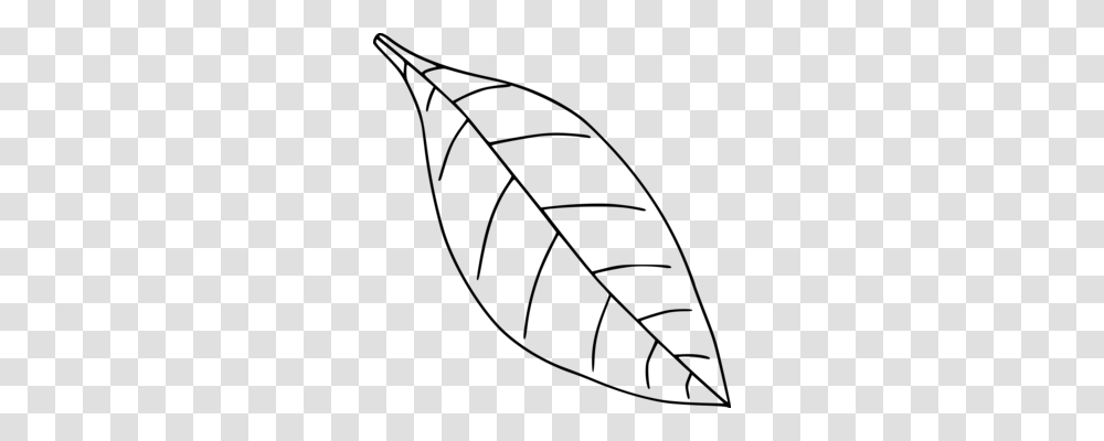 Fern Drawing Frond Leaf Black And White, Gray, World Of Warcraft Transparent Png