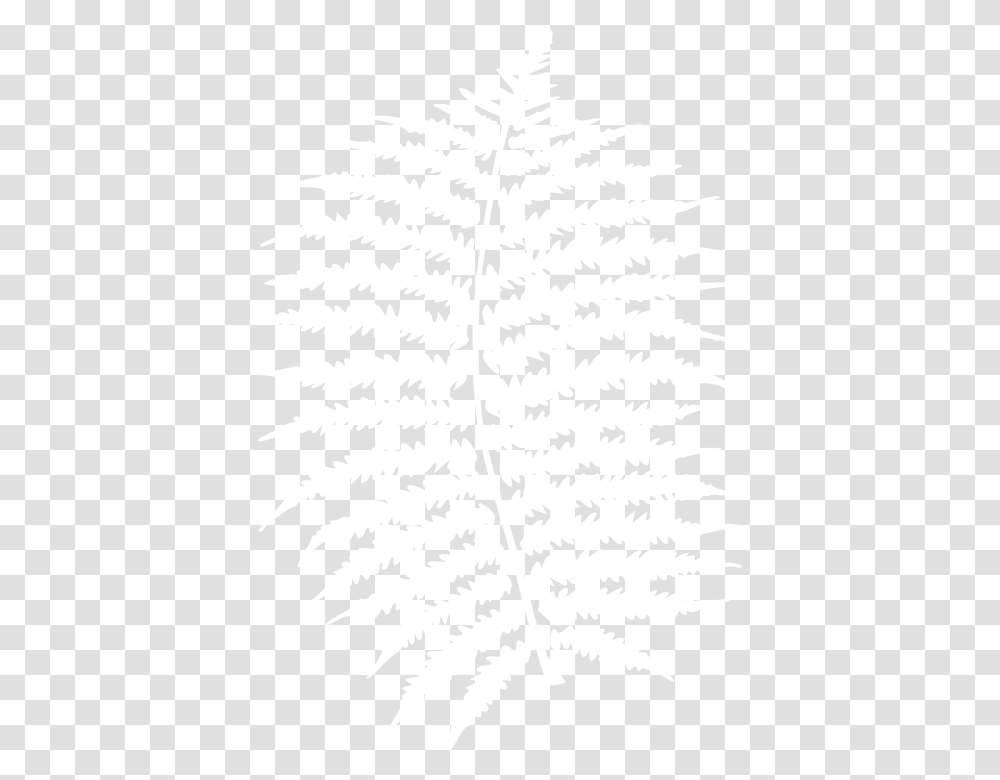 Fern Fern Leaves White, Texture, White Board, Apparel Transparent Png