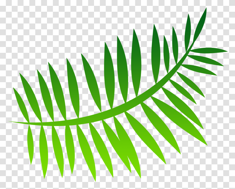 Fern Image Palm Leaf Cartoon, Plant, Green Transparent Png