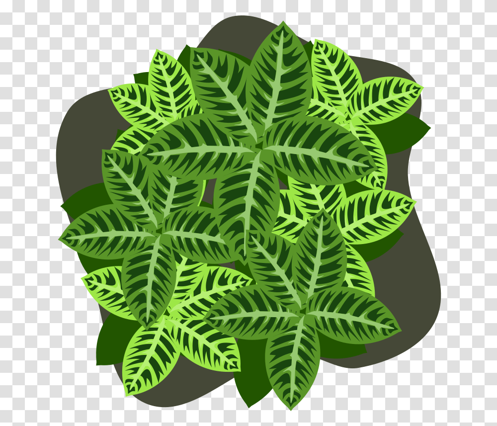 Fern, Leaf, Plant, Green, Rug Transparent Png