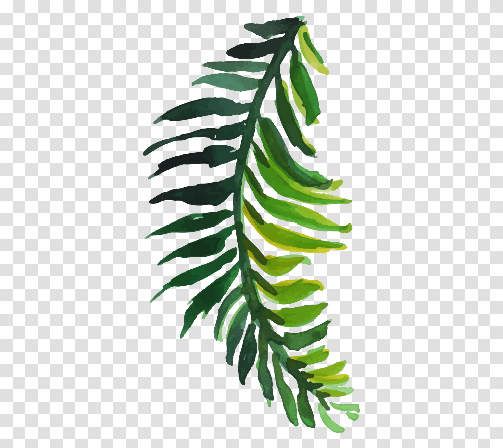 Fern, Leaf, Plant, Pineapple, Fruit Transparent Png