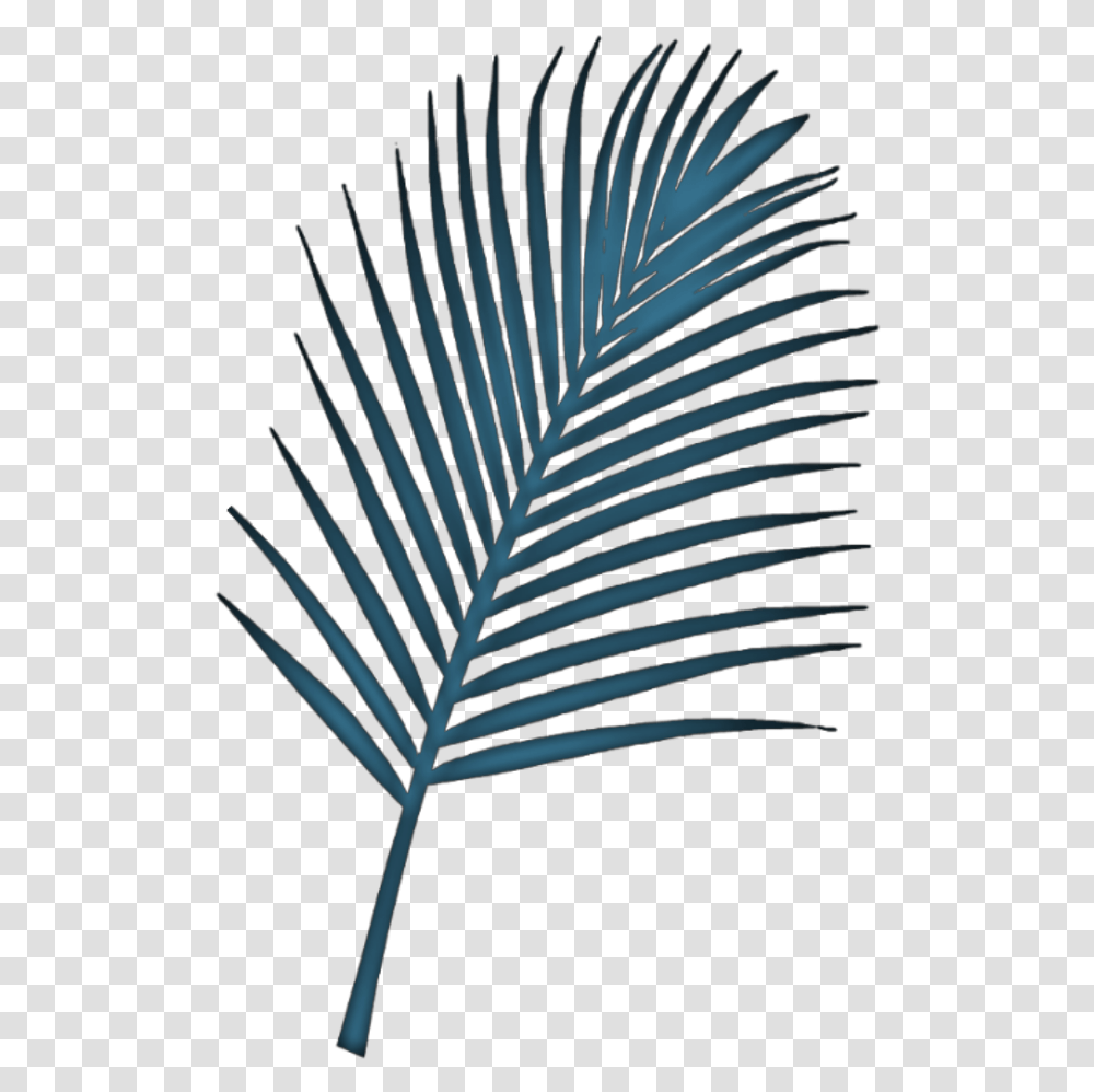 Fern Plant Leaf Blue Remixed From Jumminbs Freetoedit Palm Trees, Bird, Animal, Veins Transparent Png