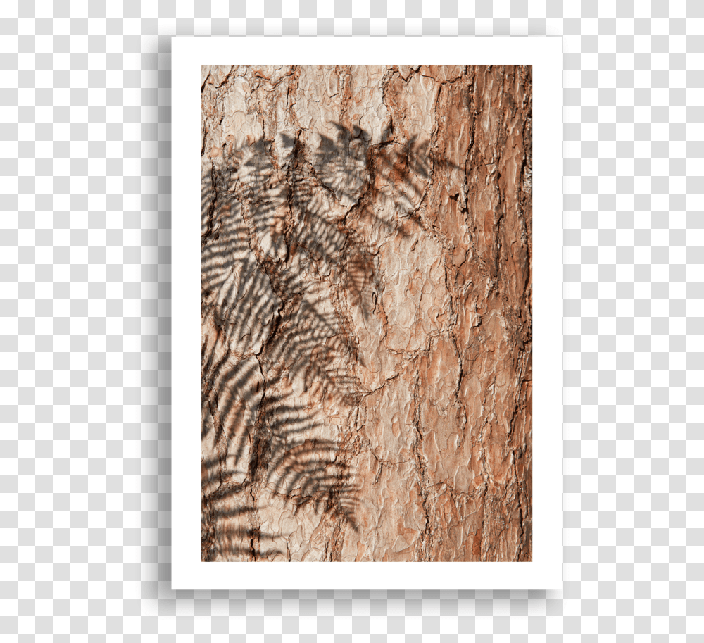 Fern Shadow Plank, Wood, Tree, Plant, Rug Transparent Png