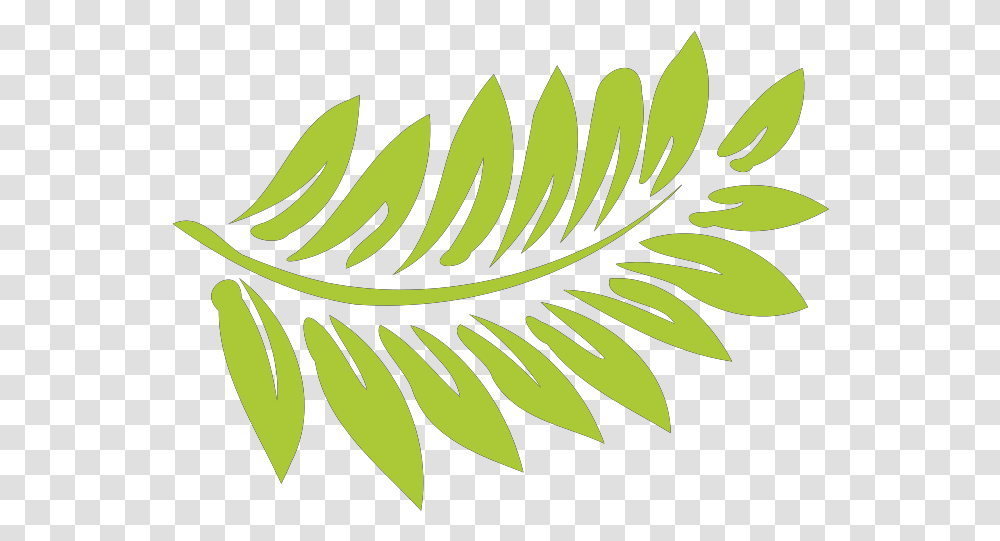 Fern Svg Vector Clip Art Svg Clipart Flower Border Design Clipart, Green, Leaf, Plant, Tree Transparent Png