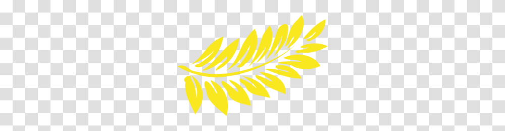 Fern Yellow Clip Art, Plant, Leaf Transparent Png